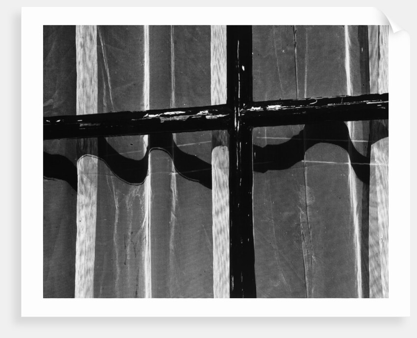 Window With Curtains, 1972 by Anonymous