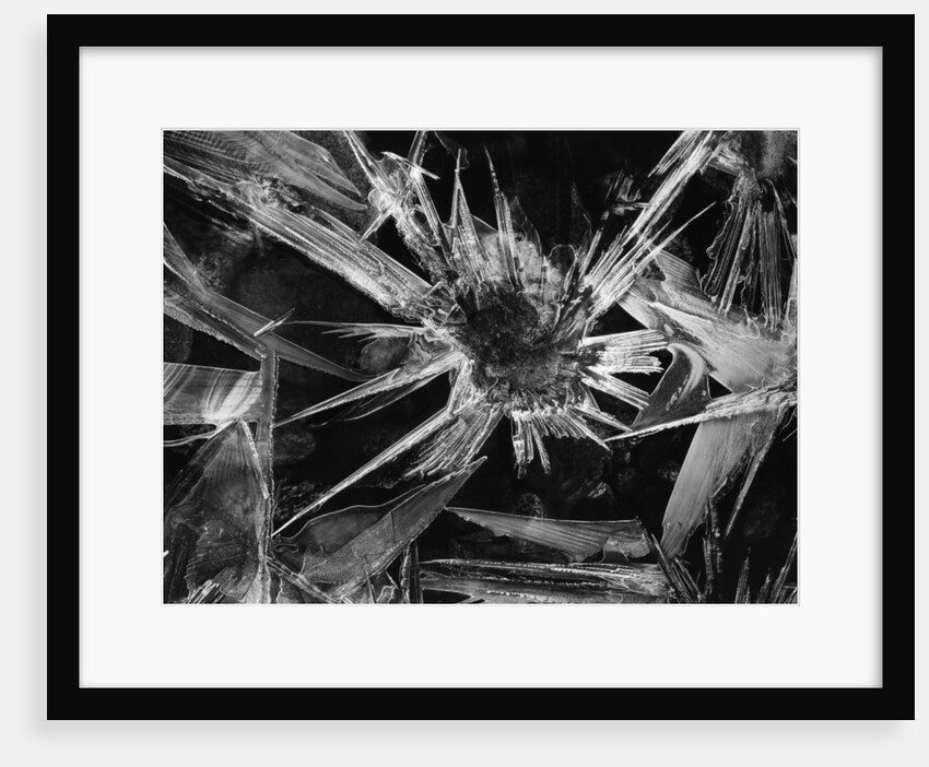 Ice Crystal, 1965 by Anonymous