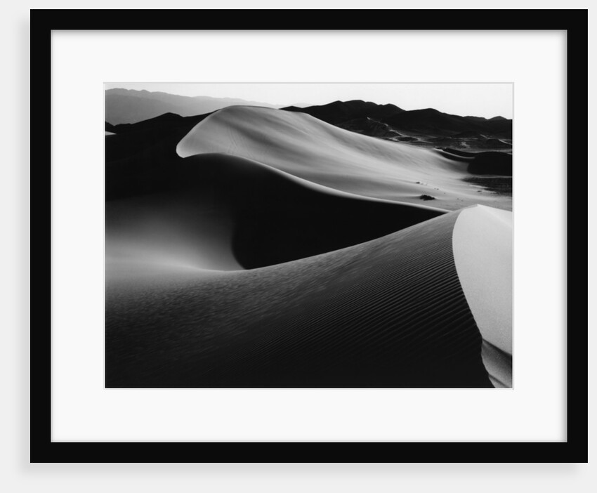 Curvy Ridge of Sand Dunes by Anonymous