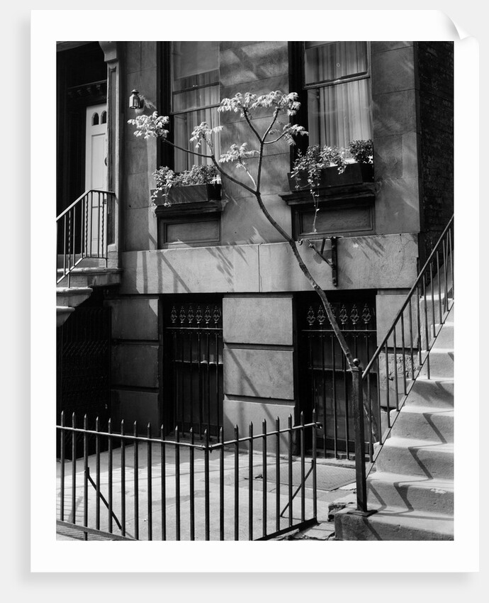 Brownstones by Brett Weston