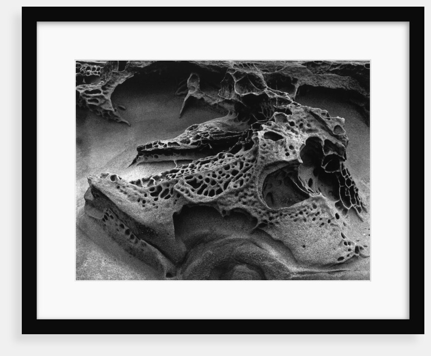 Eroded Rock on Pebble Beach by Anonymous