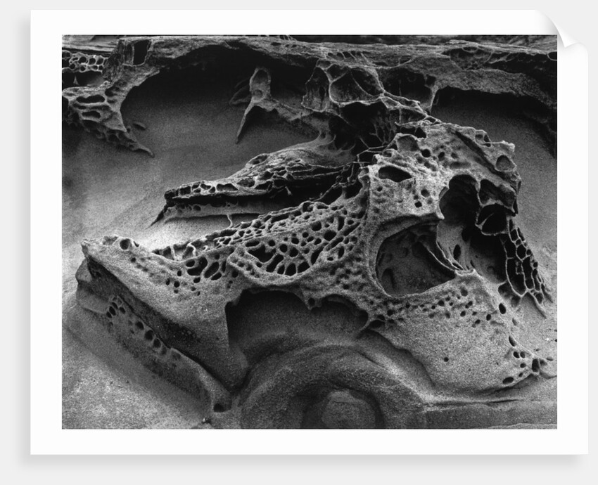 Eroded Rock on Pebble Beach by Anonymous