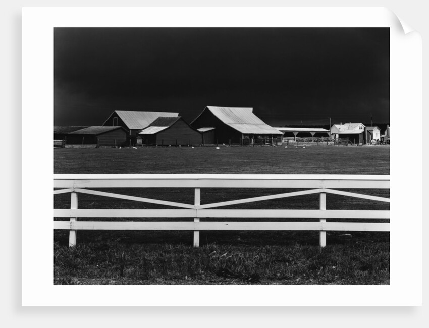 Virginia Farm, 1947 by Anonymous