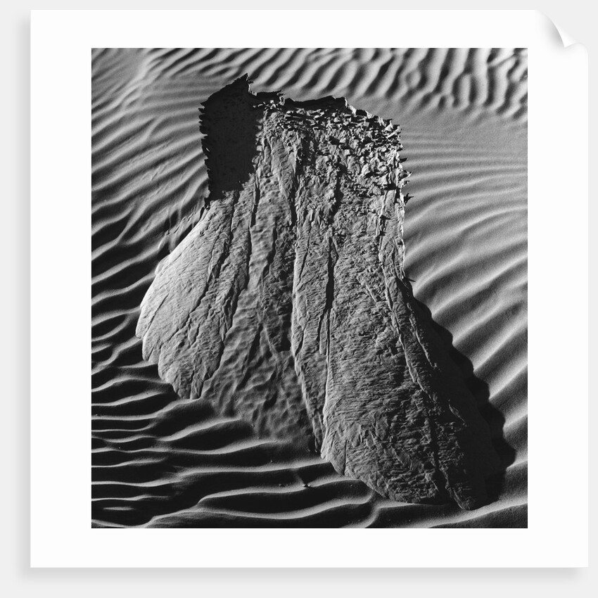 Sand Erosion by Brett Weston