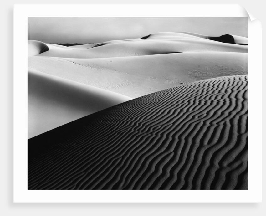 Dune Landscape by Anonymous