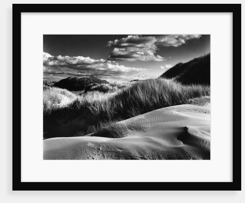 Dunes and Grasses, Oceano, 1957 by Anonymous