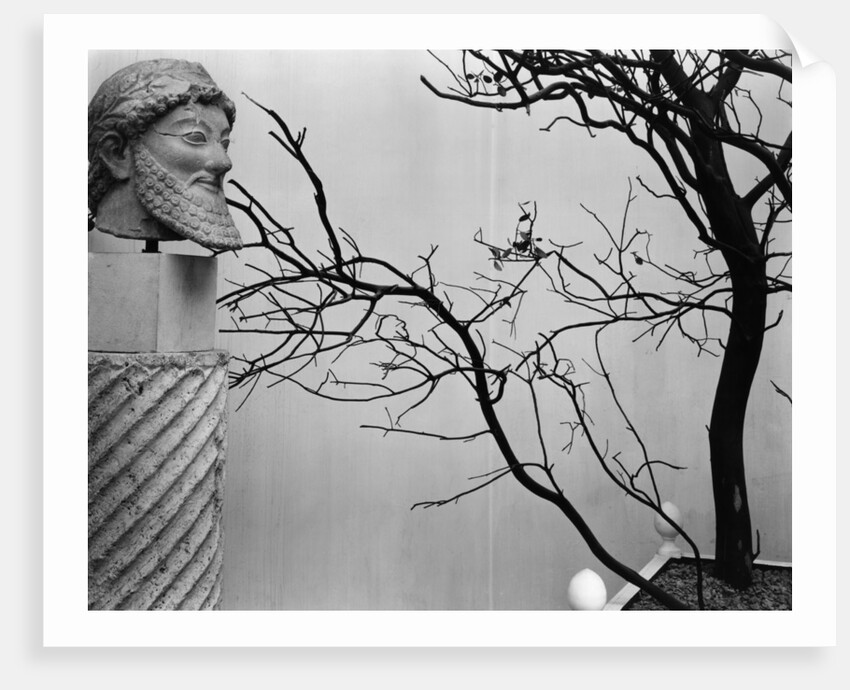 Archaic Greek Sculpture Bust and Tree, California, 1952 by Anonymous