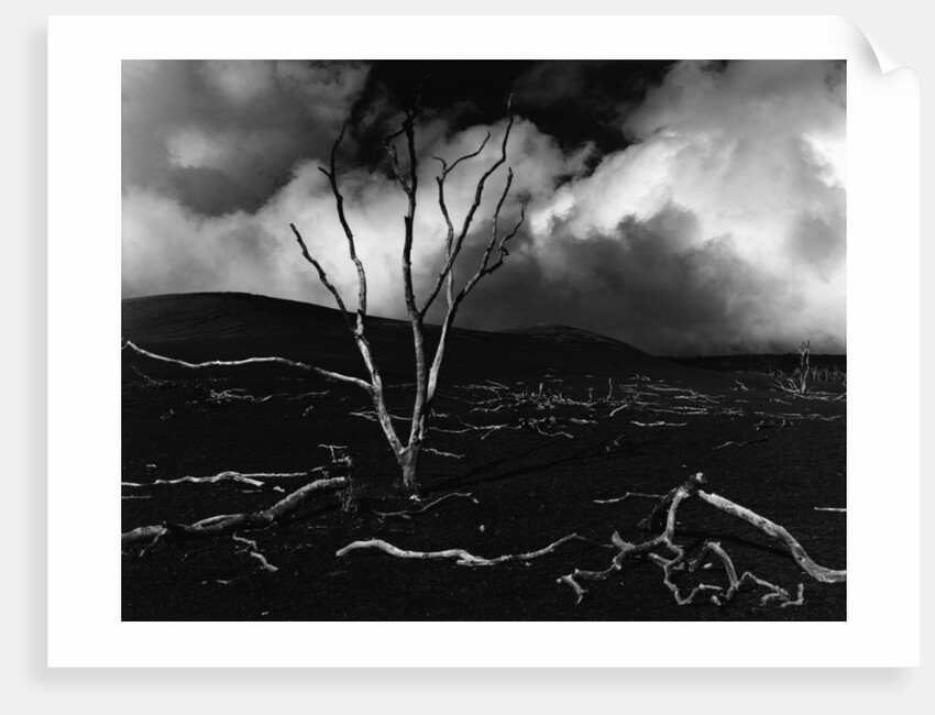 Volcano, 1980 by Anonymous