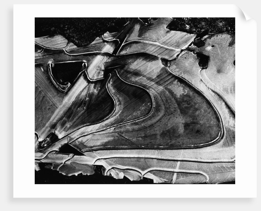 Ice, Oregon, 1971 by Anonymous