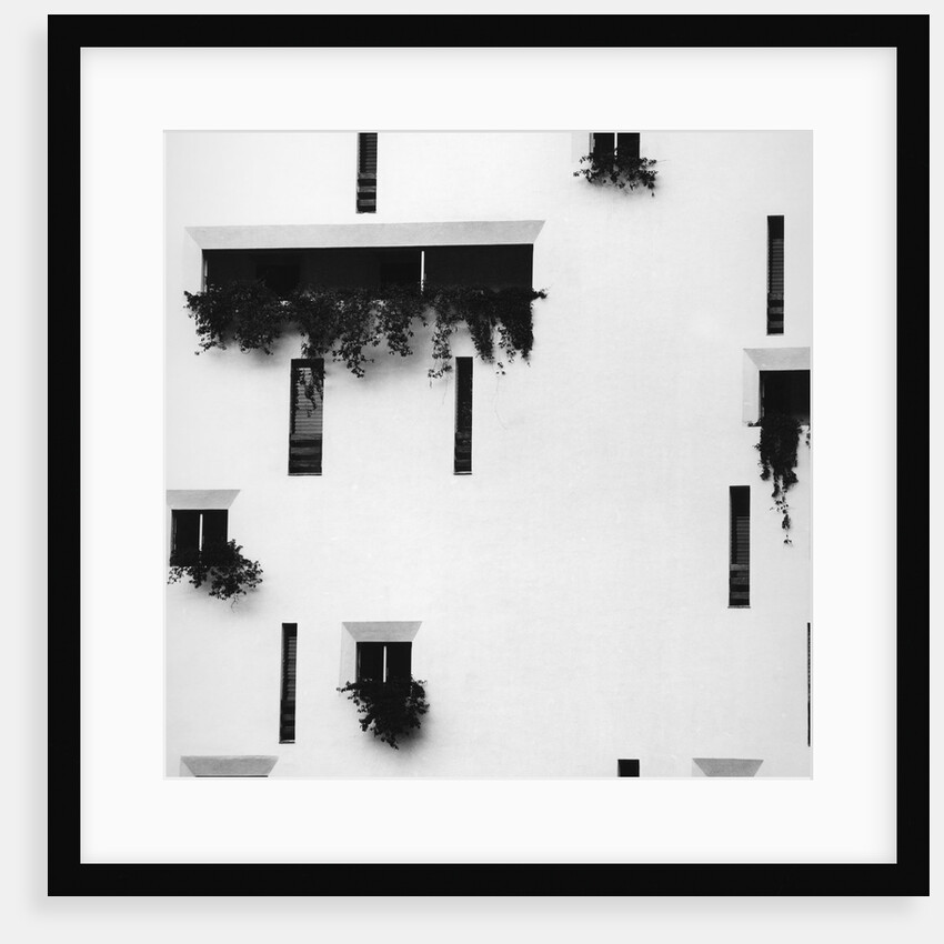 Puerto Vallarta by Brett Weston