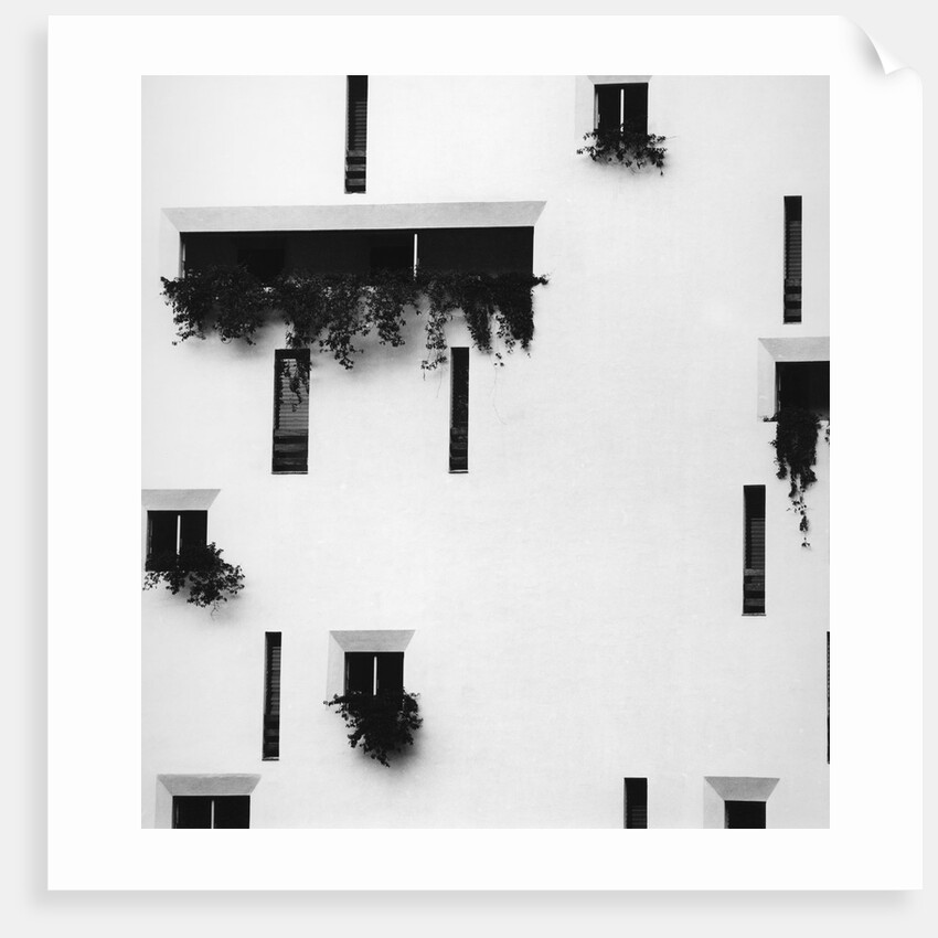 Puerto Vallarta by Brett Weston