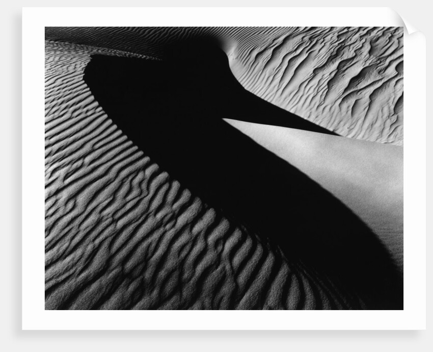 Dune, Oceano, 1932 by Anonymous