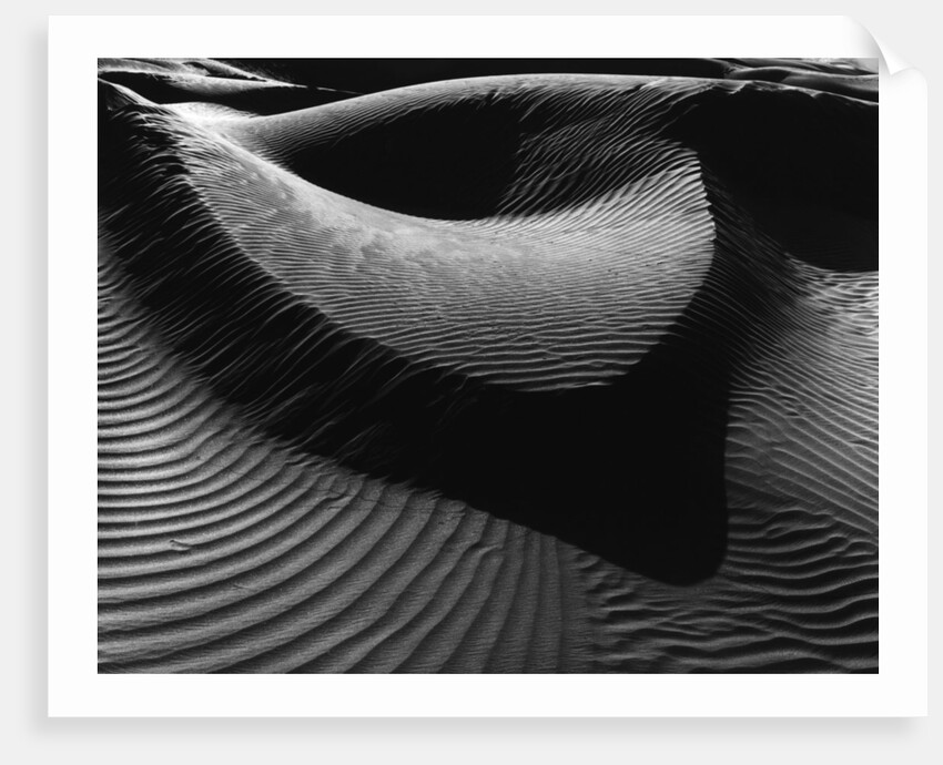 Dune by Anonymous