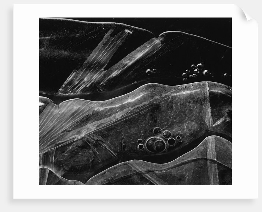 Ice Form, Oregon, 1969 by Anonymous