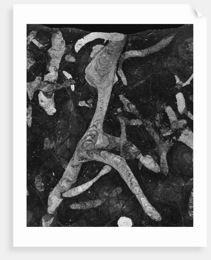 Rock Forms, 1966 by Anonymous