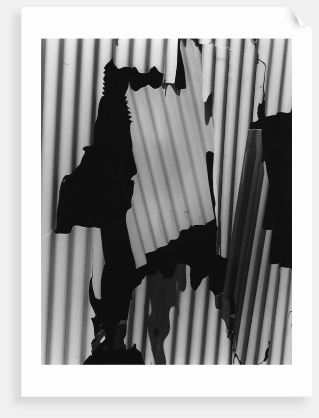 Corrugated Plastic, Alaska, 1973 by Anonymous