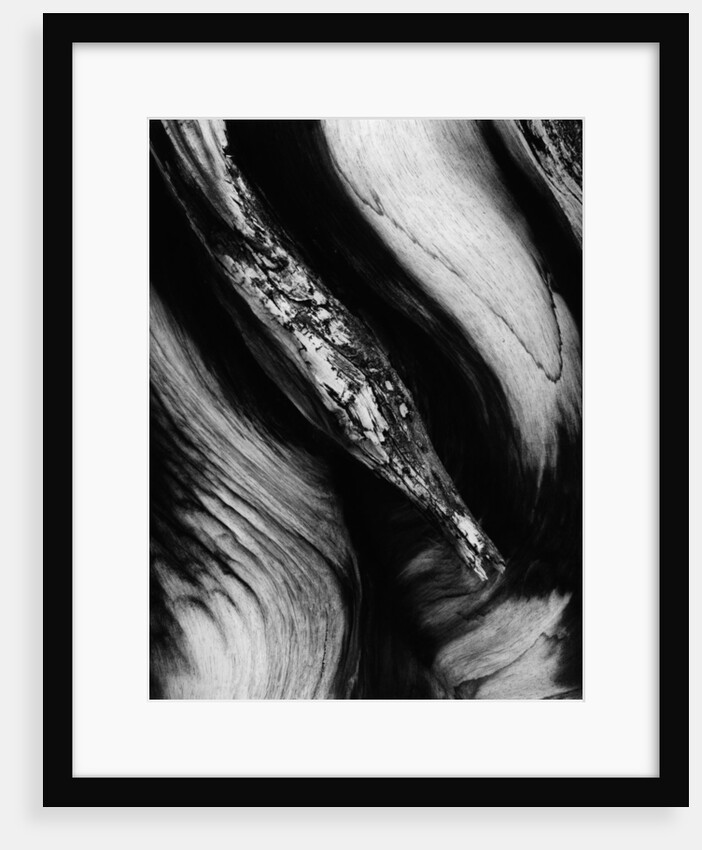 Wood by Anonymous
