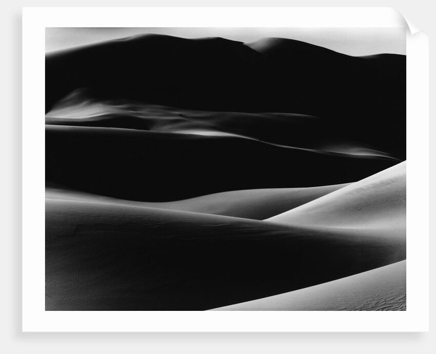 Dunes by Anonymous