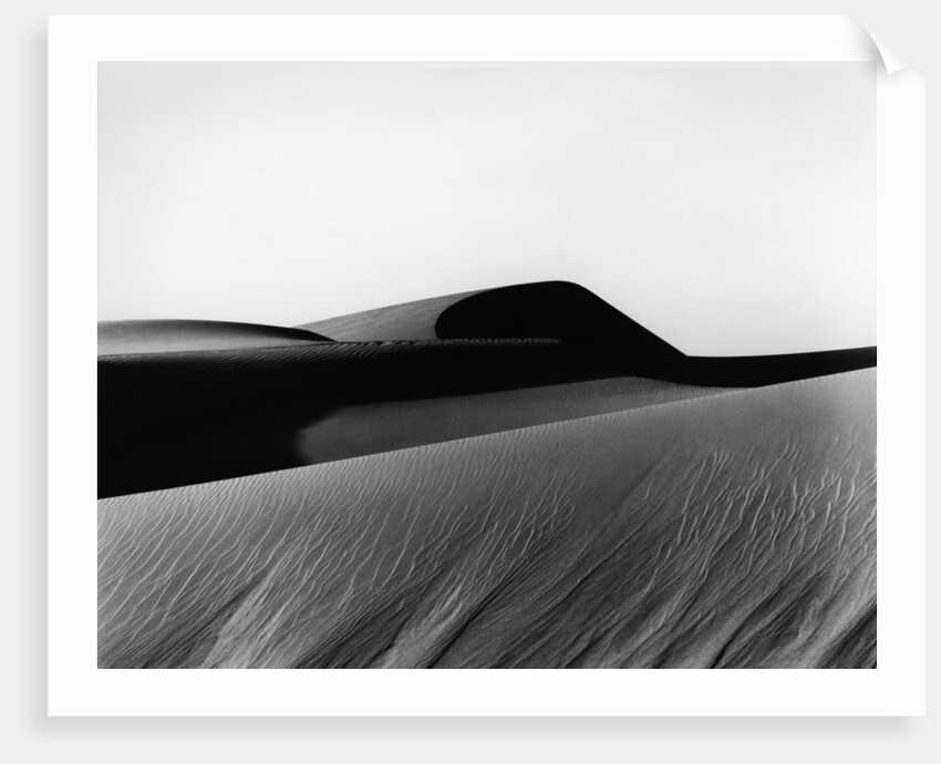 Dune, Oceano, 1934 by Anonymous