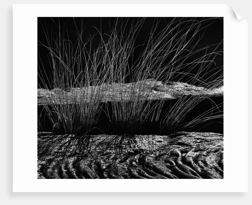 Grass and Lava by Anonymous