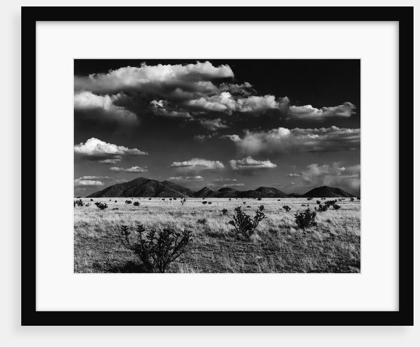 Desert Plain by Anonymous
