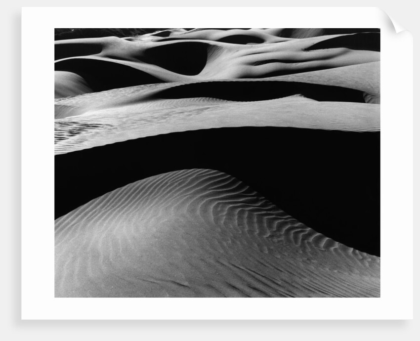 Dune Landscape by Anonymous