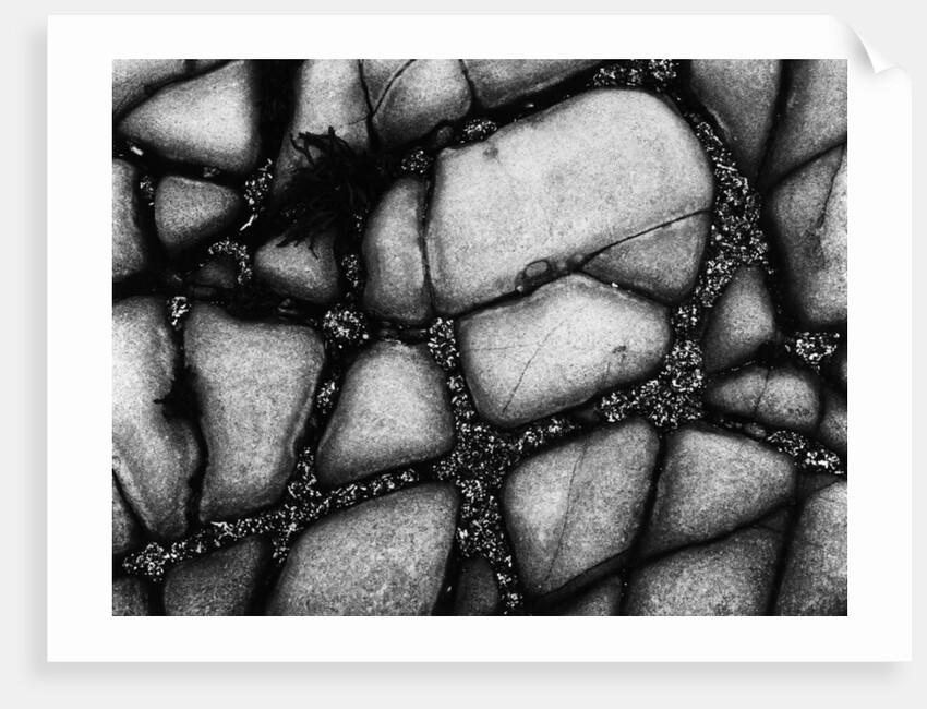 Seaside Rocks by Anonymous