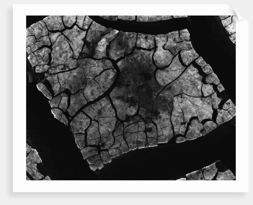Cracked Mud by Anonymous