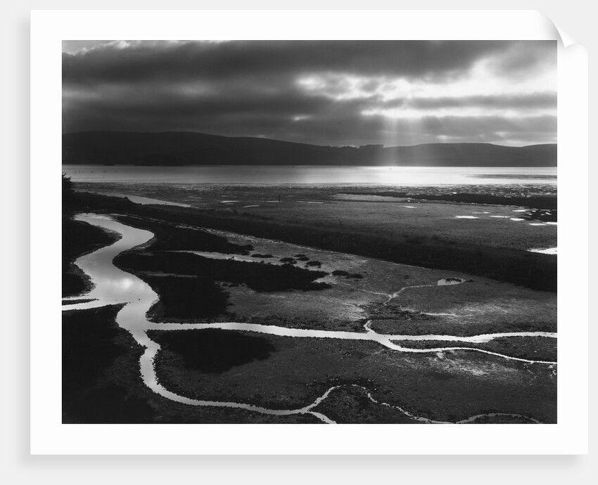 Tomales Bay, 1955 by Anonymous