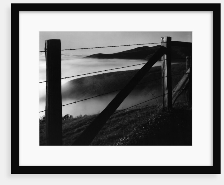 Fence and Hills, Big Sur, 1962 by Anonymous