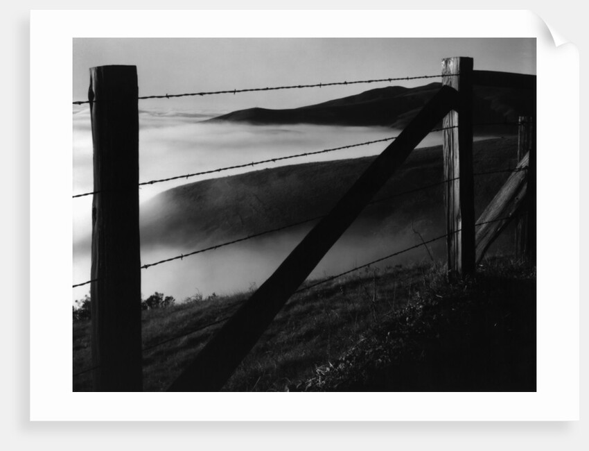 Fence and Hills, Big Sur, 1962 by Anonymous