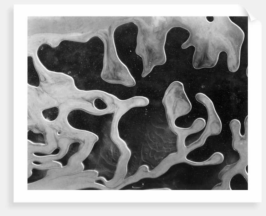 Liquid Abstraction, California, 1956 by Anonymous