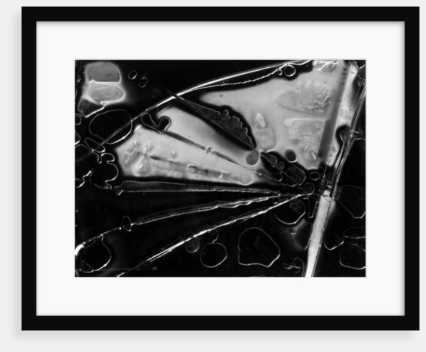 Glass Abstraction, California, 1954 by Anonymous