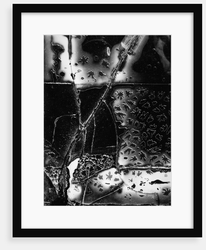 Broken Glass, 1955 by Anonymous
