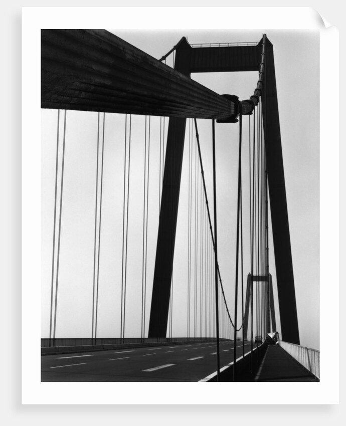 Suspension Bridge, California by Brett Weston