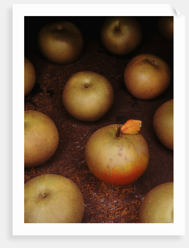 Apple With Leaf by Anonymous