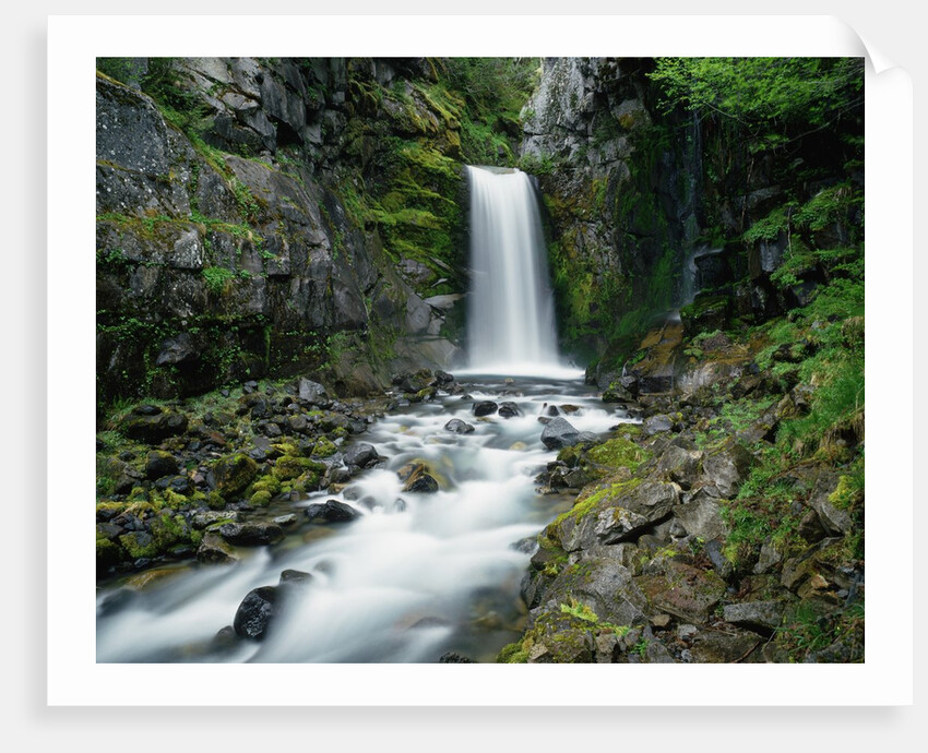 Christine Falls by Anonymous