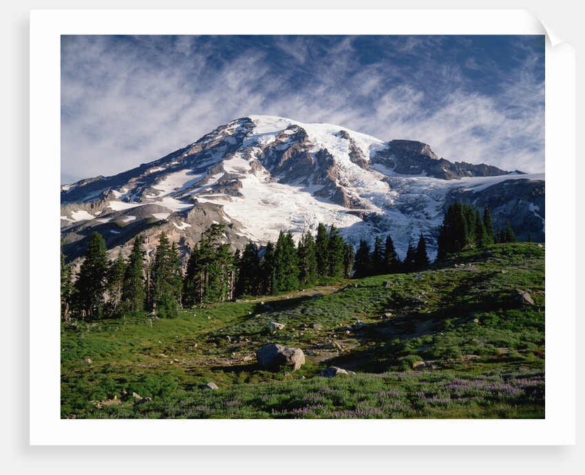 Mt.Rainier by Anonymous