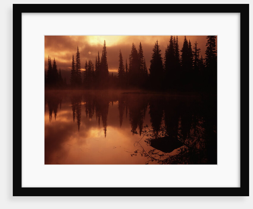Trees Reflecting in a Lake by Anonymous