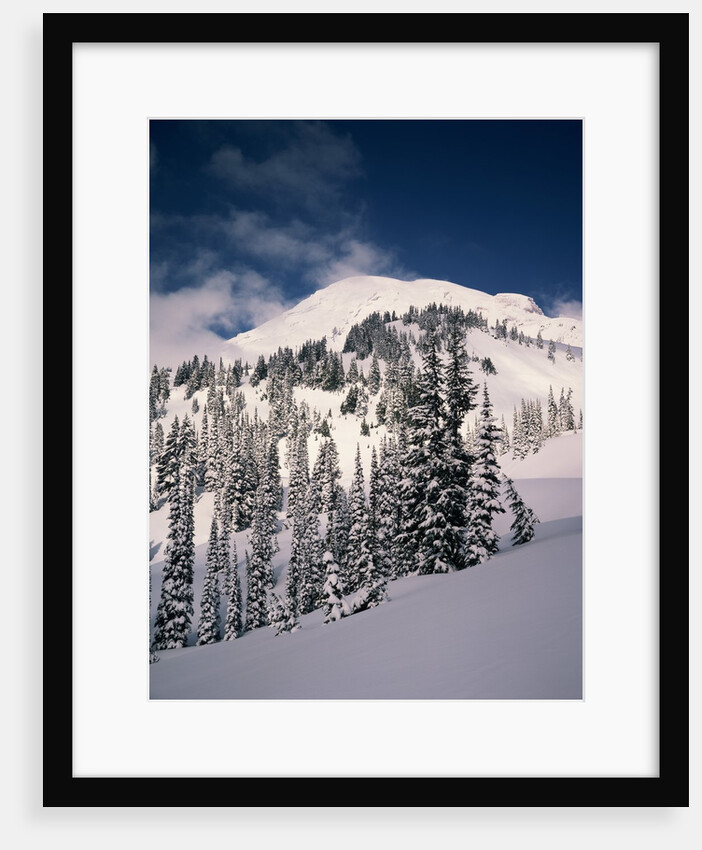 Mount Rainier by Anonymous
