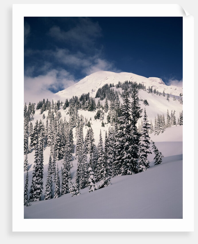 Mount Rainier by Anonymous