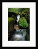 Cascading Stream in Great Smoky Mountains by Anonymous