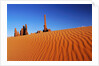Hoodoos and Dune by Anonymous