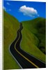 Highway Winding Through Countryside by Anonymous