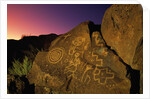 Detail of Petroglyphs at Petroglyph National Monument by Anonymous