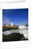 Lighthouse on Coastline by Anonymous