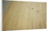 Aerial shot of footprints in wet sand by Anonymous