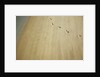 Aerial shot of footprints in wet sand by Anonymous