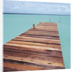 Wooden jetty leading out to sea by Anonymous