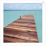 Wooden jetty leading out to sea by Anonymous